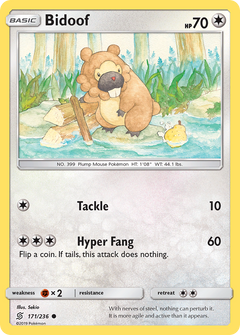 171/236 Bidoof Common