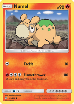 023/236 Numel Common