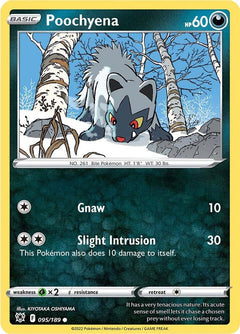 095/189 Poochyena Common