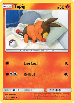 031/236 Tepig Common