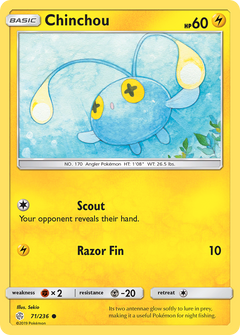 071/236 Chinchou Common