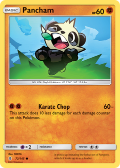 072/145 Pancham Common