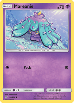 096/236 Mareanie Common
