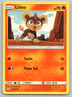 036/236 Litleo Common