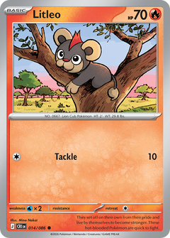 014/086 Litleo Common