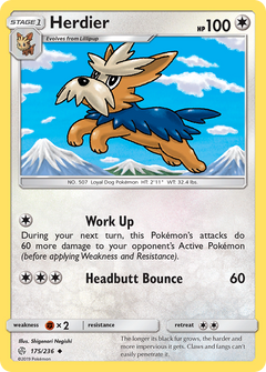 175/236 Herdier Uncommon