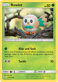 017/236 Rowlet Common