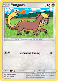 180/236 Yungoos Common