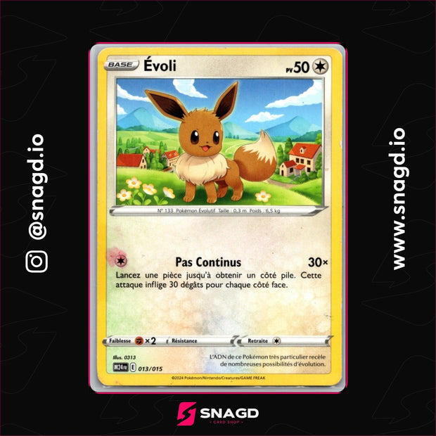 Eevee — actual photo 1