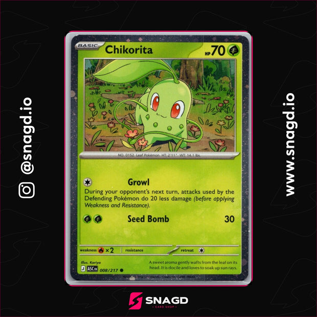 Chikorita — actual photo 1