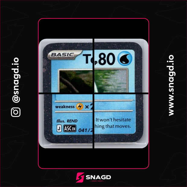 Totodile — actual photo 3