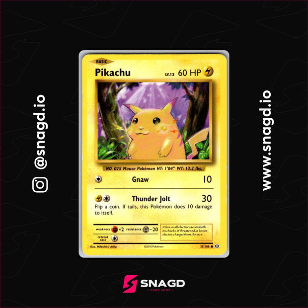 Pikachu — actual photo 1