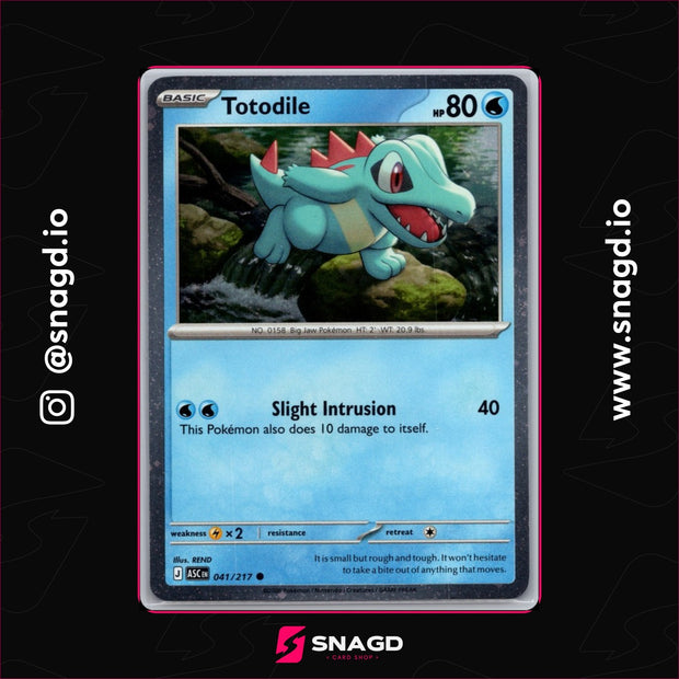 Totodile — actual photo 1