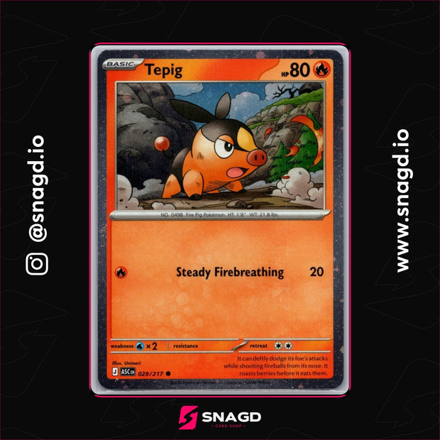 Tepig — actual photo 1