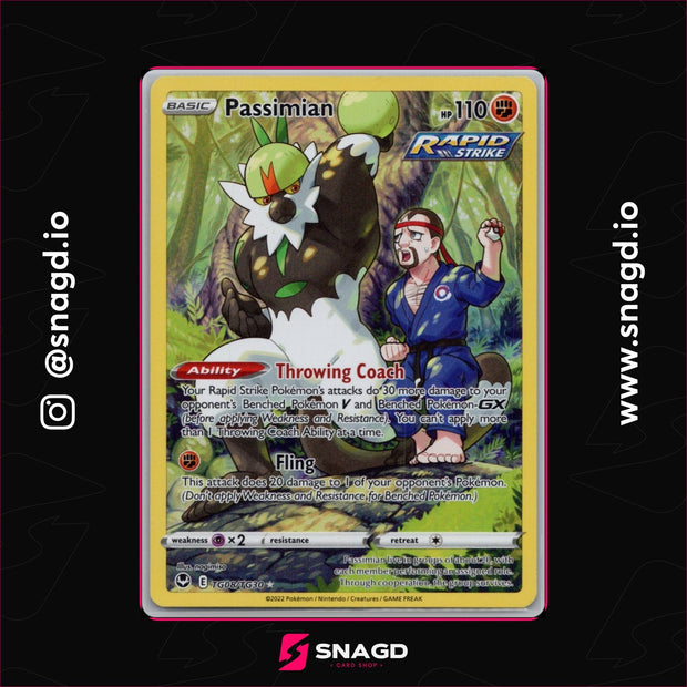 Passimian — actual photo 1