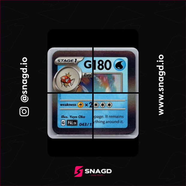 Gyarados — actual photo 3