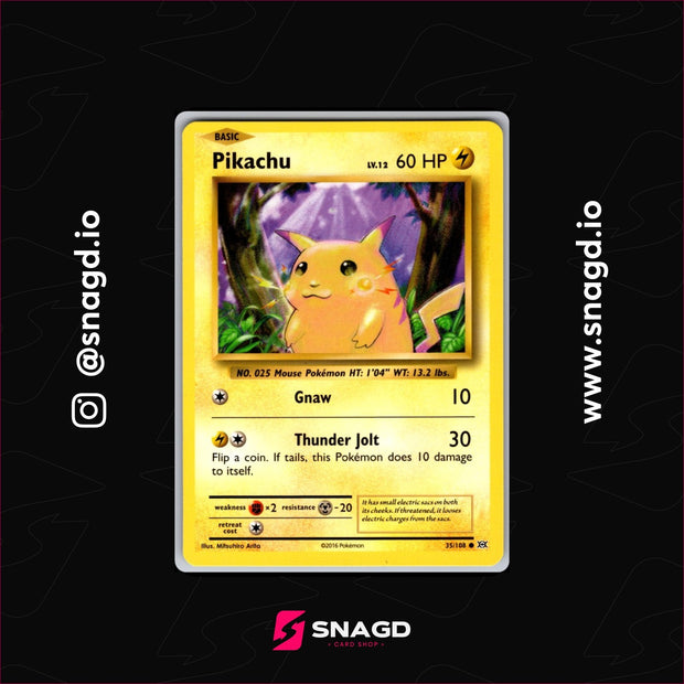 Pikachu — actual photo 1