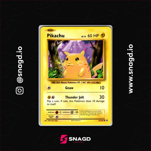 Pikachu — actual photo 1