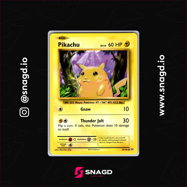 Pikachu — actual photo 1