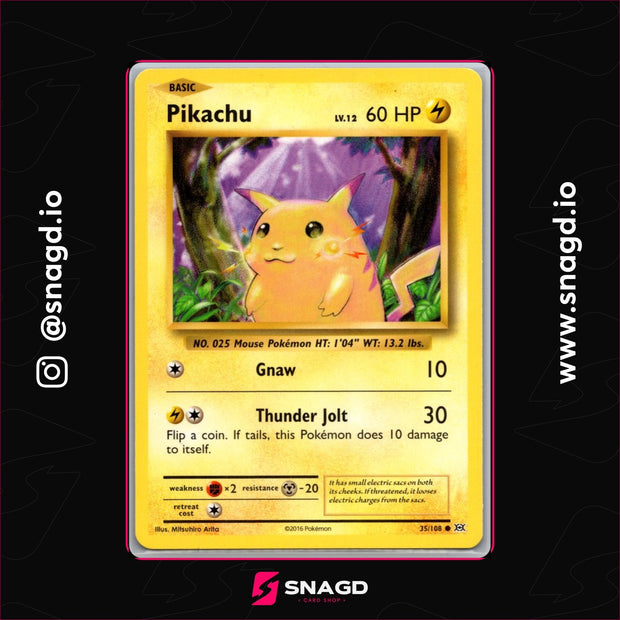 Pikachu — actual photo 1