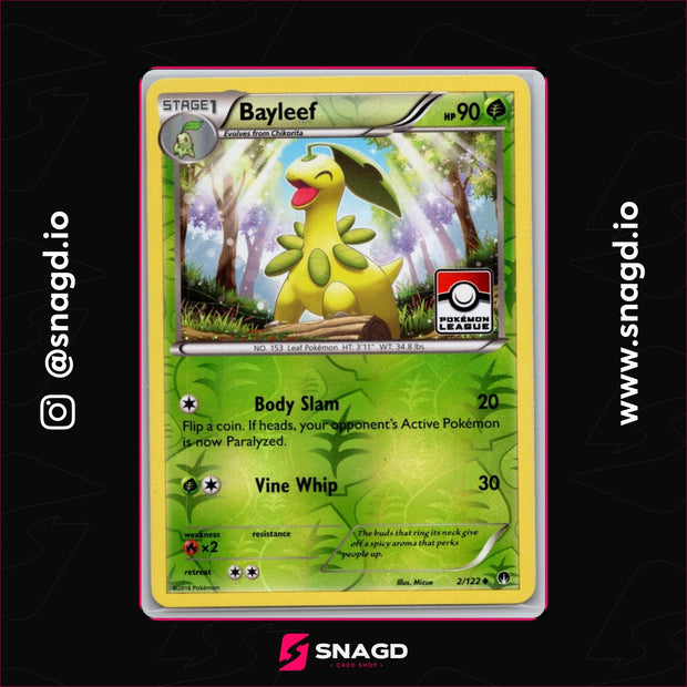 Bayleef — actual photo 1