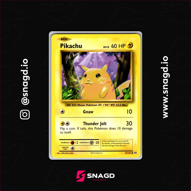 Pikachu — actual photo 1
