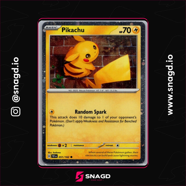 Pikachu — actual photo 1