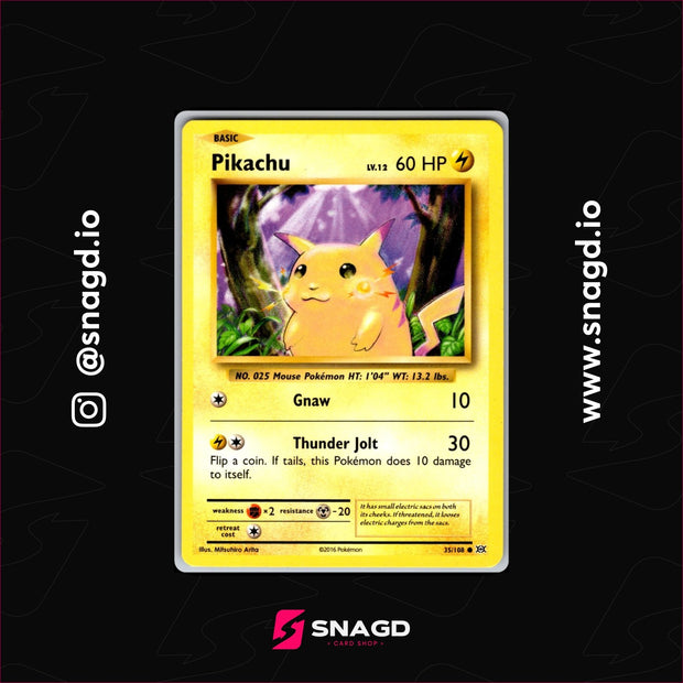 Pikachu — actual photo 1