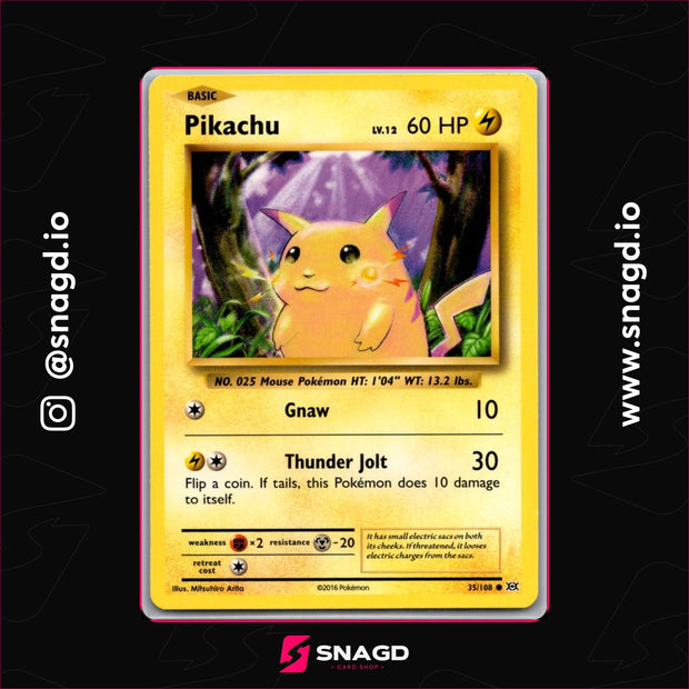 Pikachu — actual photo 1
