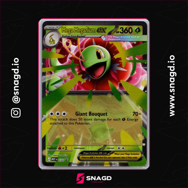 Mega Meganium ex — actual photo 1