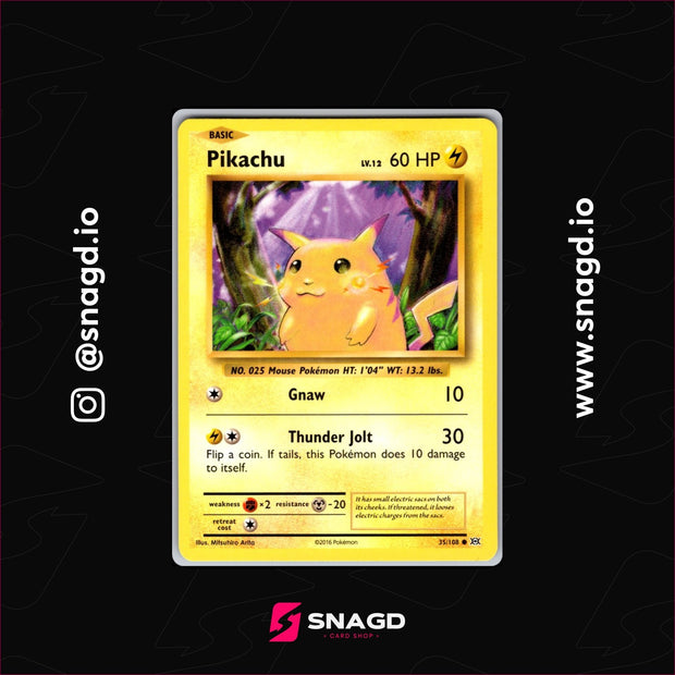 Pikachu — actual photo 1