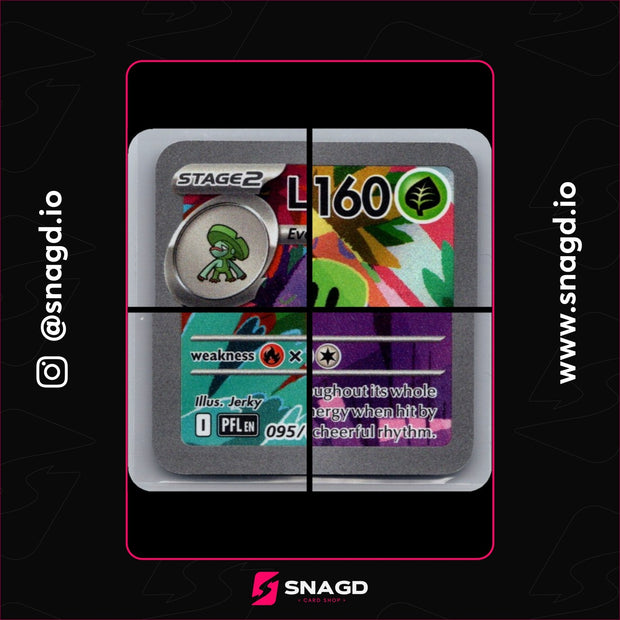 Ludicolo — actual photo 3