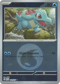 041/217 Totodile (Energy Symbol Pattern) Reverse Holo Common